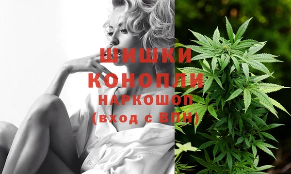 гидропоника Алзамай