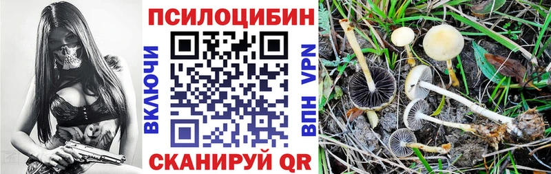 blacksprut как войти  Оренбург  Галлюциногенные грибы Cubensis 